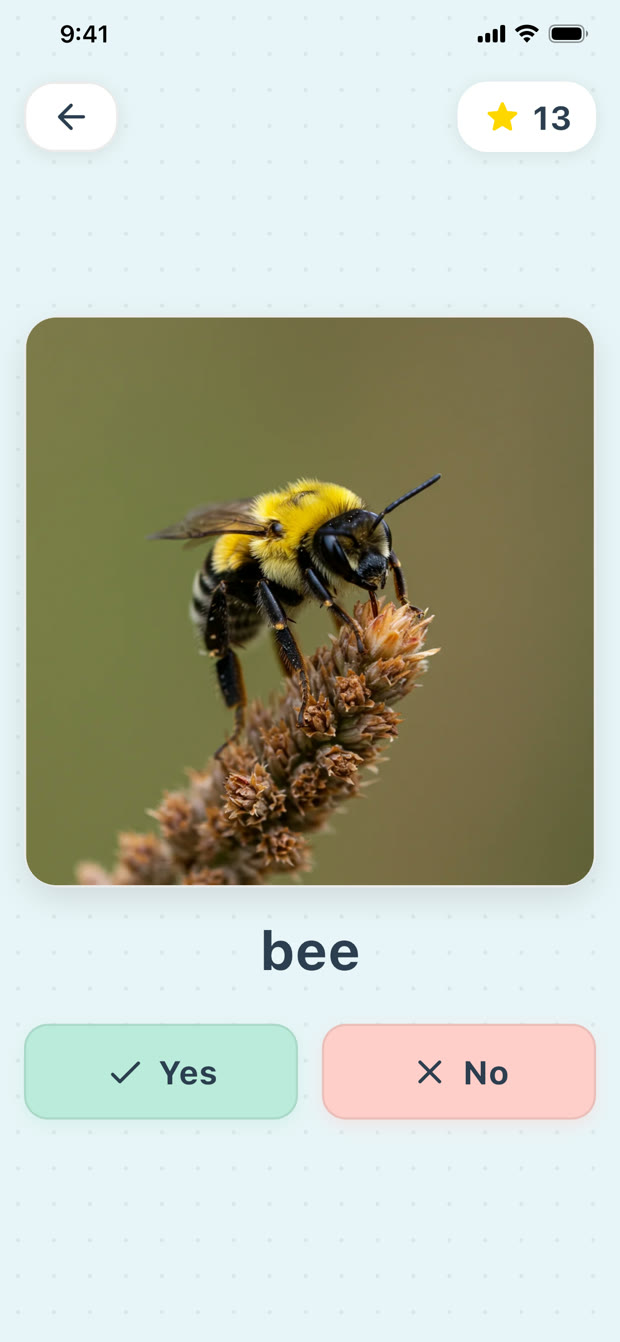 Yes or No vocabulary game showing a bee